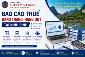 Báo cáo thuế hàng tháng, hàng quý tại Ninh Bình