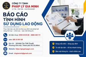 Báo cáo tình hình sử dụng lao động