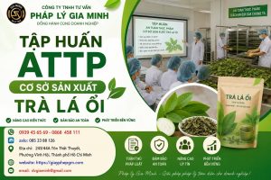 Tập huấn ATTP cơ sở sản xuất trà lá ổi