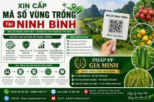 Xin cấp mã số vùng trồng tại Ninh Bình